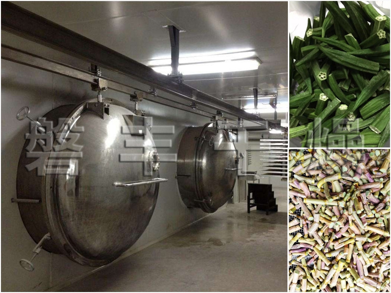 中药材真空冷冻干燥机