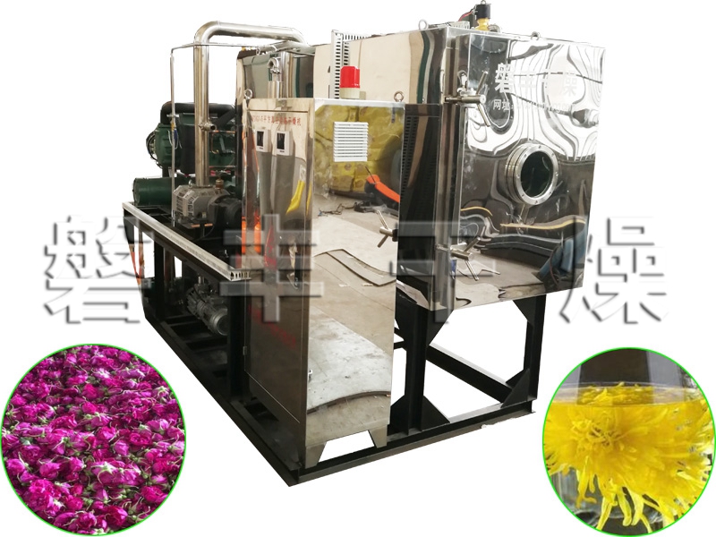 花类真空冷冻干燥机